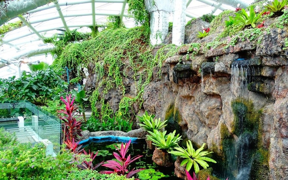 Konya Tropikal Kelebek Bahçesi Gezi Rehberi